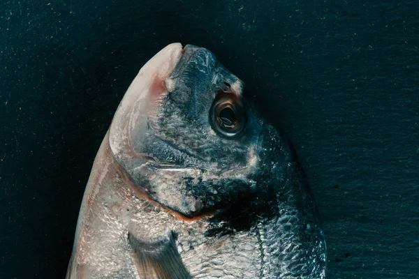 Testa Pesce Crudo Isolata Sulla Superficie Ardesia Nera — Foto Stock