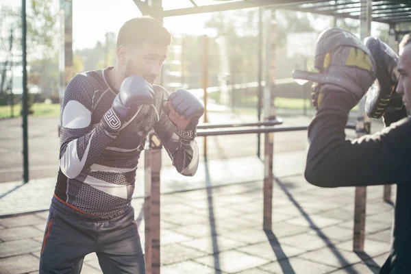 Boxeador Profesional Serio Mma Que Usa Guantes Mira Atentamente Los —  Fotos de Stock