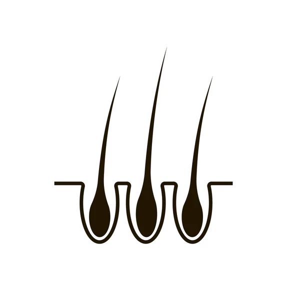 Icona dei capelli, immagine di capelli umani su sfondo bianco. Vettoriale Stock