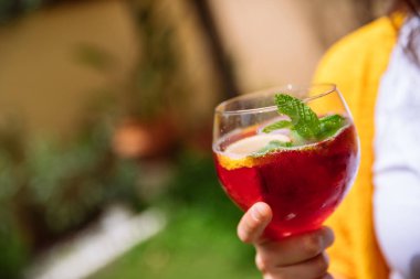 bir kokteyl cam limon ve nane bir güzel bahçe yakın çekim