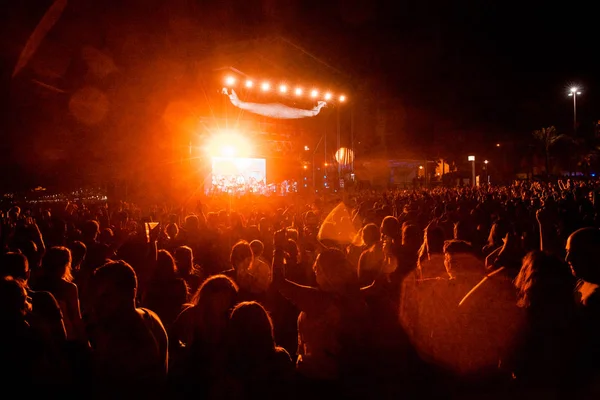 Weergave Van Een Concert Met Mensen Doelgroep Met Handen Lucht — Stockfoto