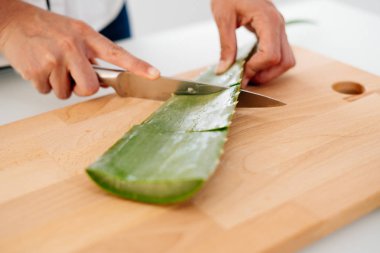 Kadın bir aloe vera jel tarifi esansları ile hazırlanıyor. Sağlıklı, doğal ve kozmetik kavramı