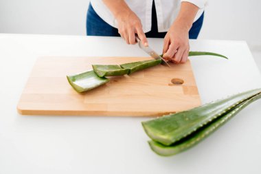 Kadın bir aloe vera jel tarifi esansları ile hazırlanıyor. Sağlıklı, doğal ve kozmetik kavramı