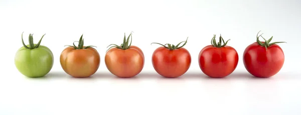 Evolución Del Tomate Rojo Aislado Sobre Fondo Blanco — Foto de Stock