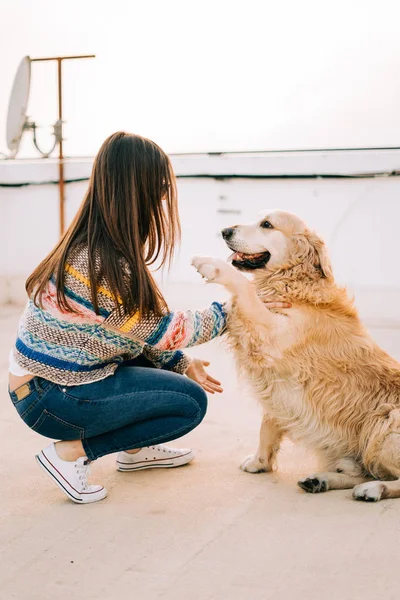 Mulher Beleza Com Seu Cão Brincando Livre — Fotografia de Stock