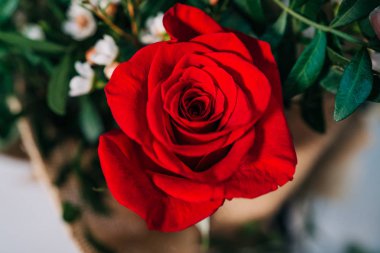 Bir kırmızı gül buketi Detayını. Çiçekçi