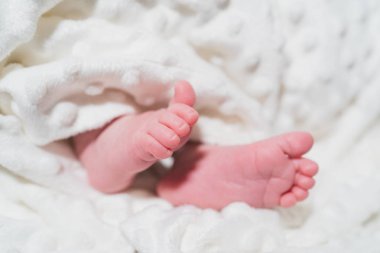 Beyaz Battaniyede Yeni Doğmuş Bebek Küçük Ayaklar. Aile, yeni hayat, çocukluk, başlangıç konsepti.