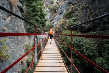 Turuncu sırt çantalı bir kadının asılı bir köprüden ormana geçişi..