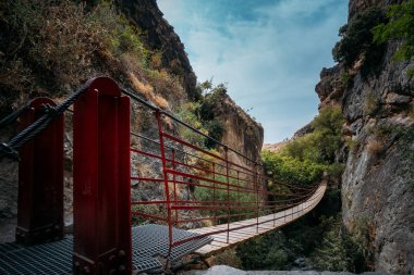 Ormana doğru asılı bir köprünün muhteşem manzarası.