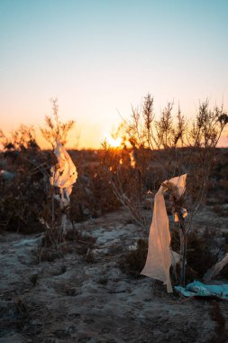 Bitkiler arasında doğadaki çöp yığını. Doğanın her yerinde zehirli plastik var. Bitkilerin arasına park etmiş bir çöp yığını. Kirlenmiş toprak. Eko sorunu.