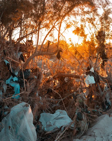 Pilha de lixo na natureza entre as plantas. Plástico tóxico em toda a natureza. Monte de lixo no parque entre a vegetação. Solo contaminado. Questão económica . — Fotografia de Stock