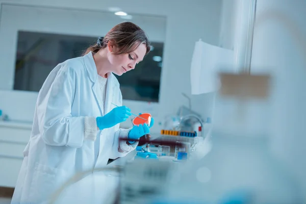 Joven tecnóloga científica hembra haciendo pruebas mientras hace investigación en laboratorio de ciencias . — Foto de Stock