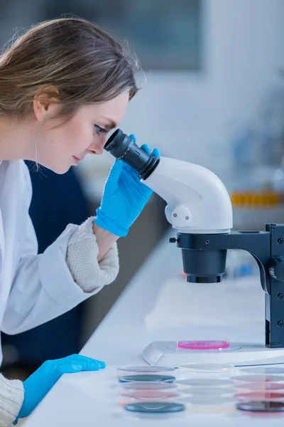 Un joven científico mirando a través de un microscopio en un laboratorio. Científico joven haciendo algunas investigaciones . — Foto de Stock