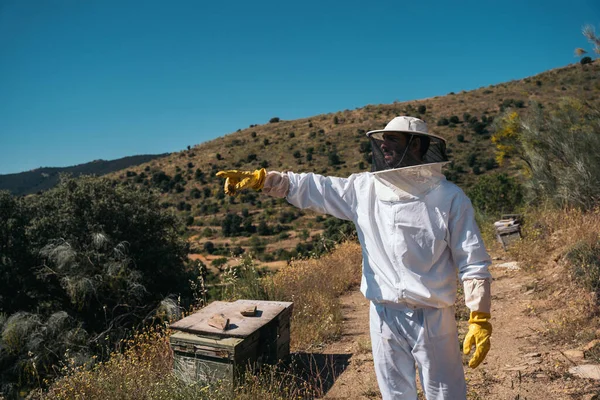 Pszczelarz celujący w uli. Pszczelarz w ochronnej odzieży roboczej. — Zdjęcie stockowe