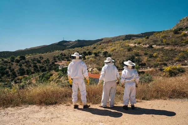 Três apicultores de costas em roupa de trabalho protectora. Conceito de apicultura . — Fotografia de Stock