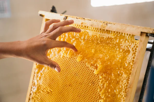 Primer plano de un apicultor sosteniendo un panal lleno de abejas . — Foto de Stock