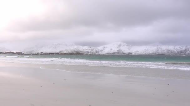 Vue d'une plage enneigée avec des montagnes en arrière-plan à Lofoten, Norvège — Video