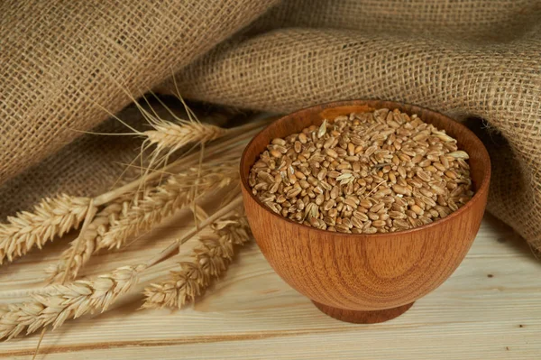 Fresh raw wheat seeds, ear of ripe wheat and jute sack on a rustic wood background conceptual of a staple nutritious grain food and healthy diet or allergy to gluten. Free copy space