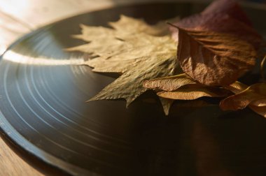 Ücretsiz kopya alanı kavramsal bir görüntüde vintage vinil kayıt düşük açılı görünümüyle sonbahar yaprakları