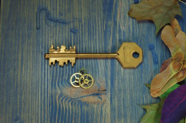 Close Vintage Golden Key Next Small Cogwheel Gears Autumn Leaves — Stock Photo, Image