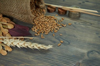 Taze çiğ buğday tohumu Jüt çuval, elyaf sikke ve rustik ahşap arka plan ücretsiz kopya alanı ile yükselen bir tahıl fiyatlarının kavramsal olgun buğday kulak