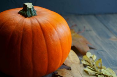 Turuncu kabak ve sonbahar yaprakları ücretsiz kopya alanı rustik ahşap tablo