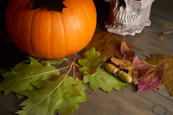 Halloween Citrouille Feuilles Automne Crâne Sur Une Vieille Table Bois — Photo