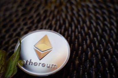 Olgun bir ayçiçeği kafasına pırıltılı gümüş Ethereum madalyonun kapatın. Kavramsal blockchain teknoloji görüntüsüyle ücretsiz kopya alanı ile