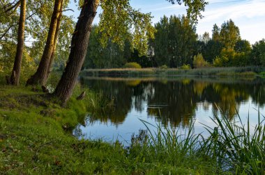 Huzurlu sakin nehir kıyısında günbatımı ağaçlar çevreleyen yansımaları ile