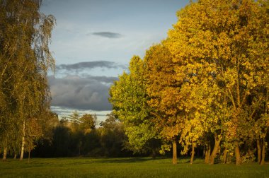 Sonbahar renk sonbahar sezonu değişim kavramı ilk gün içinde değişen yaprakları başlar. Ve sonunda yaz günlerinde, erken sonbahar
