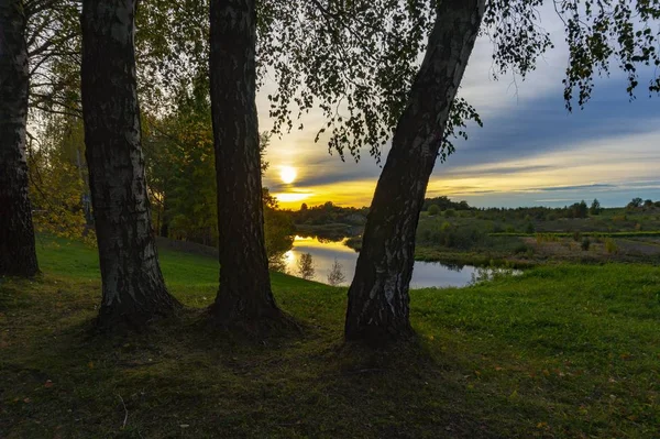 Golden Sunburst Groene Bladeren Van Een Berkenbomen Aan Oevers Van — Stockfoto