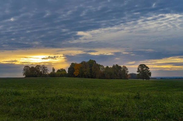 Cloudy Sunset Green Field Autumn Colored Trees — Stock Photo, Image