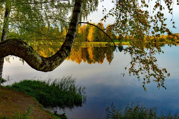 Rustige Herfst Lake Met Reflecties Van Bomen Met Kleurrijke Gebladerte — Stockfoto