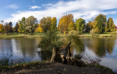 Nehri ağaçları renkli yeşillik ile çevresindeki yansımaları ile düşmüş ağaç erken sonbahar. Değişen mevsim kavramı