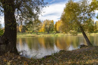 Renkli yeşillik bir ağaç dalları ve yaprakları ile ağaçlar çevreleyen yansımaları ile sakin sonbahar Nehri