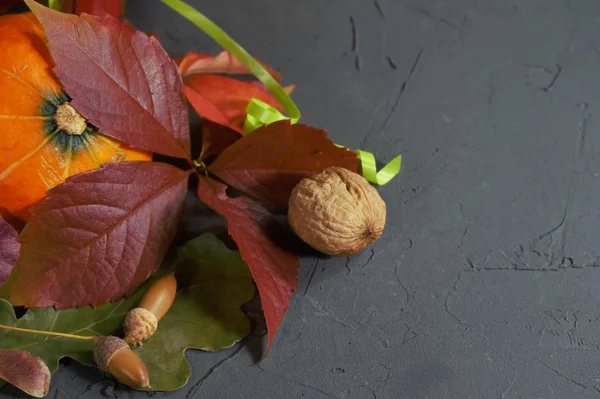 Bordure Latérale Récolte Automne Avec Des Feuilles Colorées Des Glands — Photo