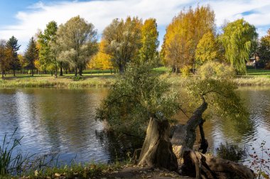 Kırsal göl veya nehir ağaçlarda sakin suda yansıyan renkli yeşillik ile sonbaharda sökülüp ağacında