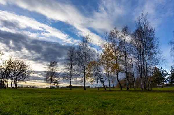 Prados Árboles Otoño Contra Cielo Colorido Noche Decorado Con Nubes — Foto de Stock