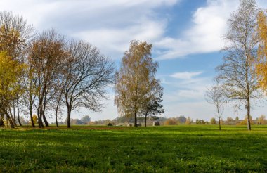 Sonbahar renkli sonbahar yaprakları doğal peyzaj güneşli mavi gökyüzü karşı ağaçlarda ile taze yeşil alan
