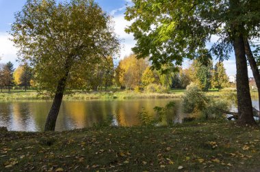 Nehri ağaçları renkli yeşillik ile çevresindeki yansımaları ile düşmüş ağaç erken sonbahar. Değişen mevsim kavramı