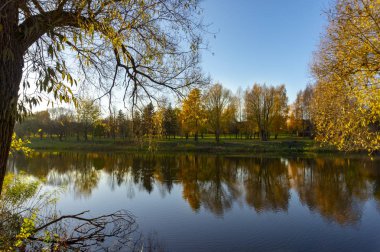 Başlangıç pastoral gölü yansımaları yapraklar sonbaharda sezon sonbahar. Renkli sonbahar yaprakları sakin suları onun yansıması çevirir