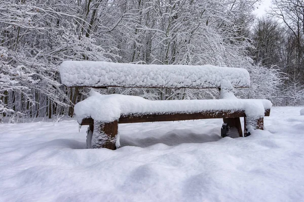 Snow Covered Rustic Wooden Bench Winter Park Low Angle View — Stock Photo, Image