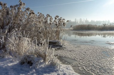 Sakin bir göl üzerinde soğuk soğuk kış günü