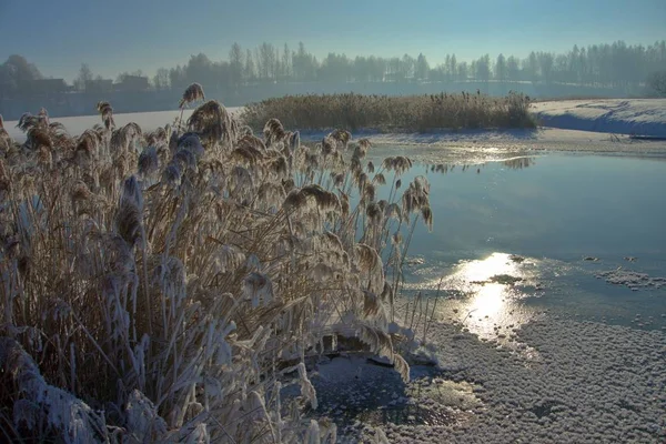 Холодный Морозный Зимний День Над Спокойным Озером Отражениями Утренним Туманом — стоковое фото