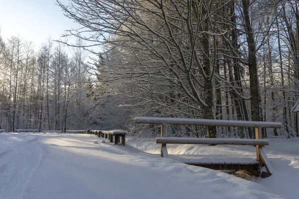 Pretty Snow Covered Bridge Stream Winter Woodland Snowy Tree Trunks Stock Photo