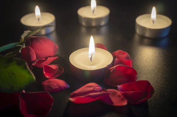 Чотири Чайні Свічки Пелюстки Червоної Троянди Темряві Невеликою Глибиною Фокусу — стокове фото