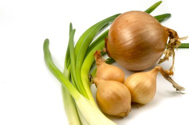 Çeşitli taze soğan taze soğan üzerinde beyaz izole ile yakın