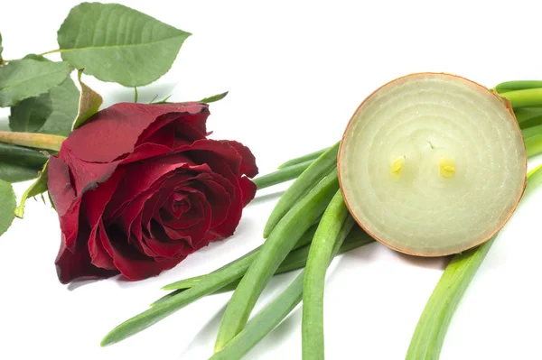 Única Rosa Vermelha Perfumada Com Cebola Marrom Crua Cortada Pela — Fotografia de Stock