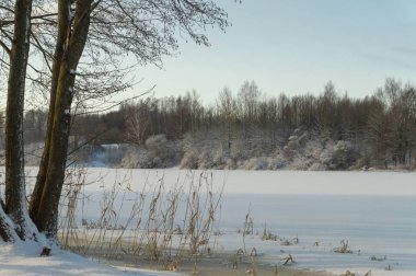 Donmuş Kar kış manzara nehir kaplı. Soğuk soğuk kış günü hava ve mevsim kavramı