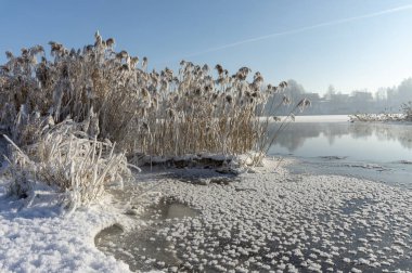 Sakin bir göl üzerinde soğuk soğuk kış günü